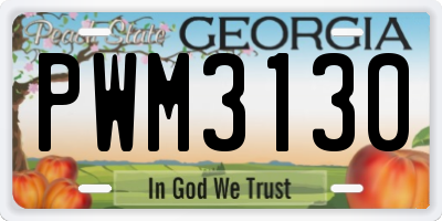 GA license plate PWM3130