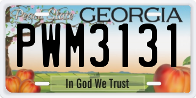 GA license plate PWM3131