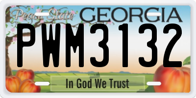 GA license plate PWM3132