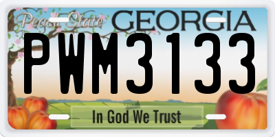 GA license plate PWM3133