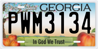 GA license plate PWM3134