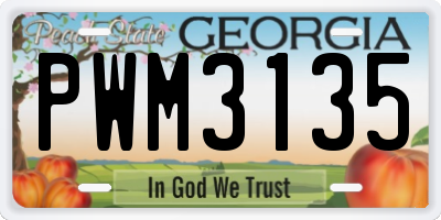GA license plate PWM3135