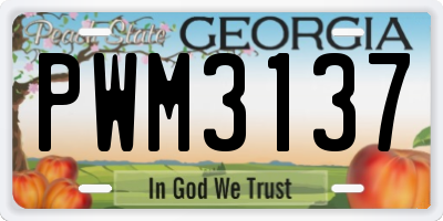 GA license plate PWM3137