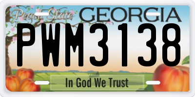 GA license plate PWM3138