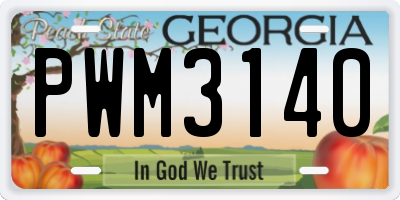 GA license plate PWM3140