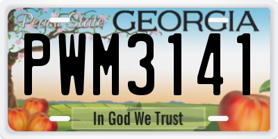 GA license plate PWM3141