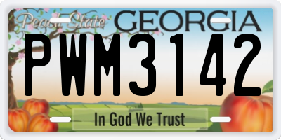 GA license plate PWM3142