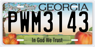 GA license plate PWM3143