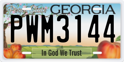 GA license plate PWM3144