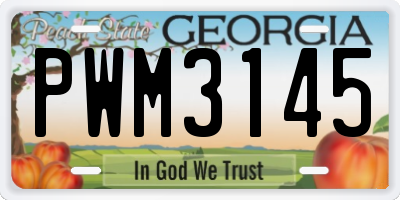 GA license plate PWM3145