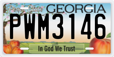 GA license plate PWM3146