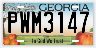 GA license plate PWM3147