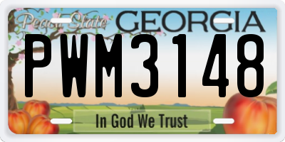 GA license plate PWM3148