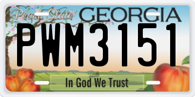 GA license plate PWM3151
