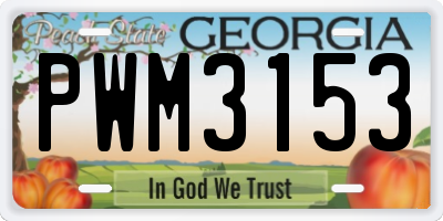 GA license plate PWM3153