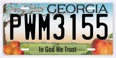 GA license plate PWM3155