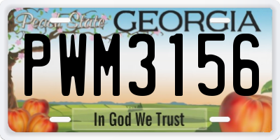 GA license plate PWM3156