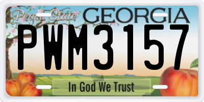 GA license plate PWM3157