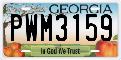 GA license plate PWM3159