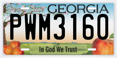 GA license plate PWM3160