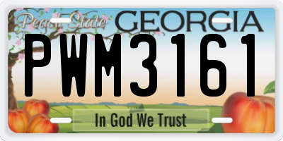 GA license plate PWM3161
