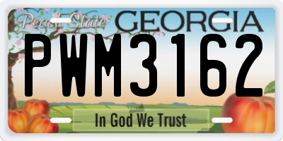 GA license plate PWM3162