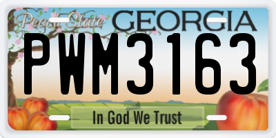 GA license plate PWM3163