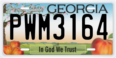 GA license plate PWM3164