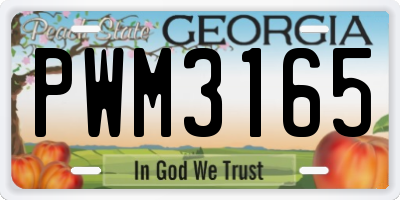 GA license plate PWM3165