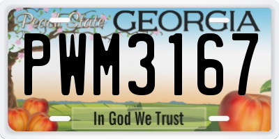 GA license plate PWM3167