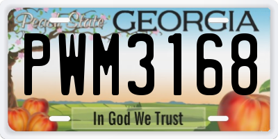 GA license plate PWM3168