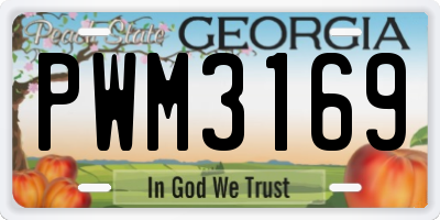GA license plate PWM3169