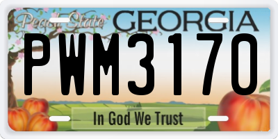 GA license plate PWM3170