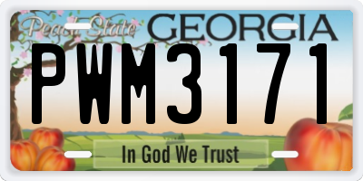 GA license plate PWM3171