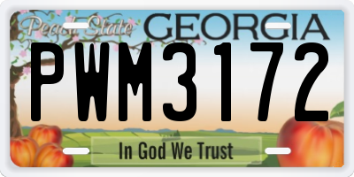 GA license plate PWM3172