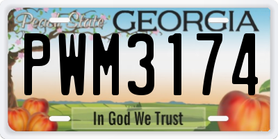 GA license plate PWM3174