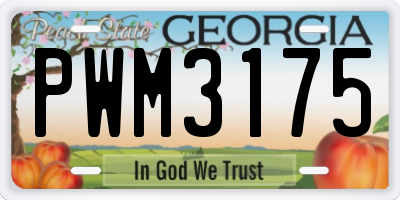 GA license plate PWM3175