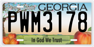GA license plate PWM3178