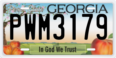 GA license plate PWM3179