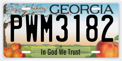 GA license plate PWM3182
