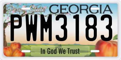 GA license plate PWM3183