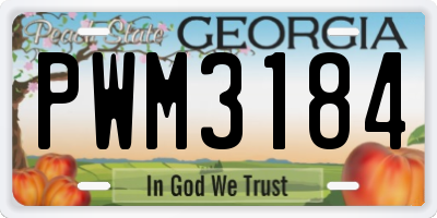 GA license plate PWM3184