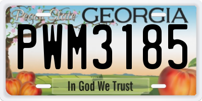 GA license plate PWM3185