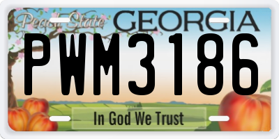 GA license plate PWM3186