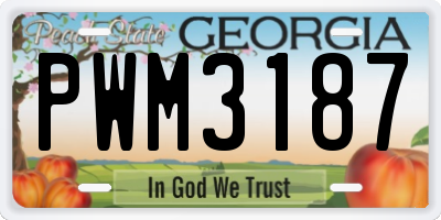 GA license plate PWM3187