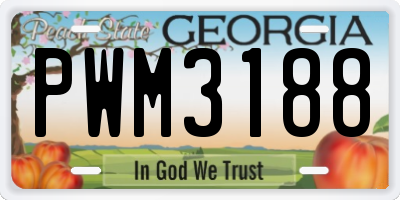 GA license plate PWM3188