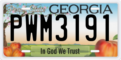 GA license plate PWM3191