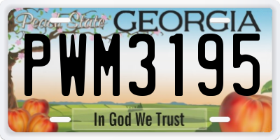 GA license plate PWM3195