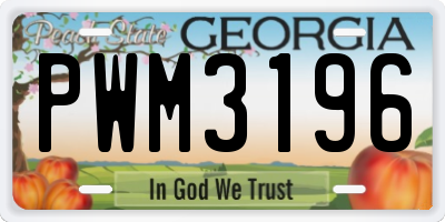 GA license plate PWM3196