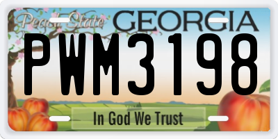 GA license plate PWM3198